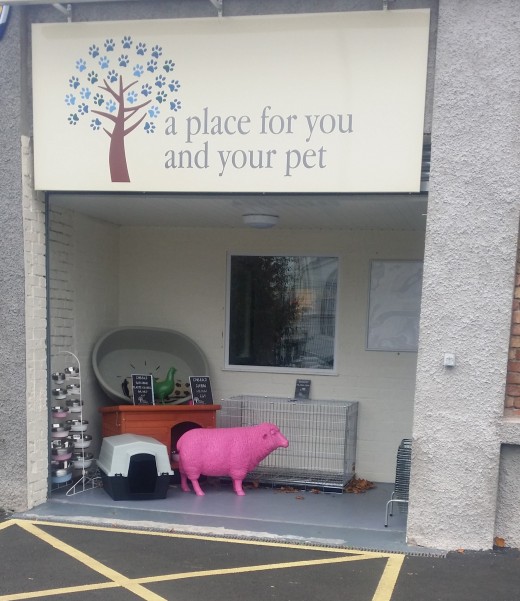 Pet and Country pet shop and dog friendly café in Ballymoney