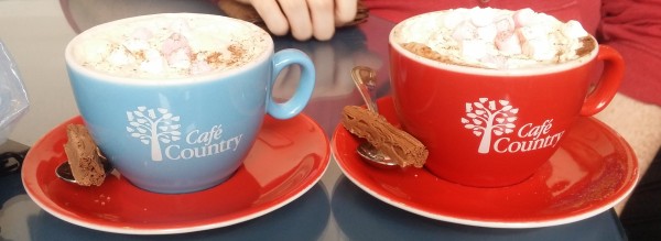 White hot chocolate with caramel syrup flavouring and plain hot chocolate with hazelnut syrup flavouring at Pet and Country pet shop and dog friendly café in Ballymoney