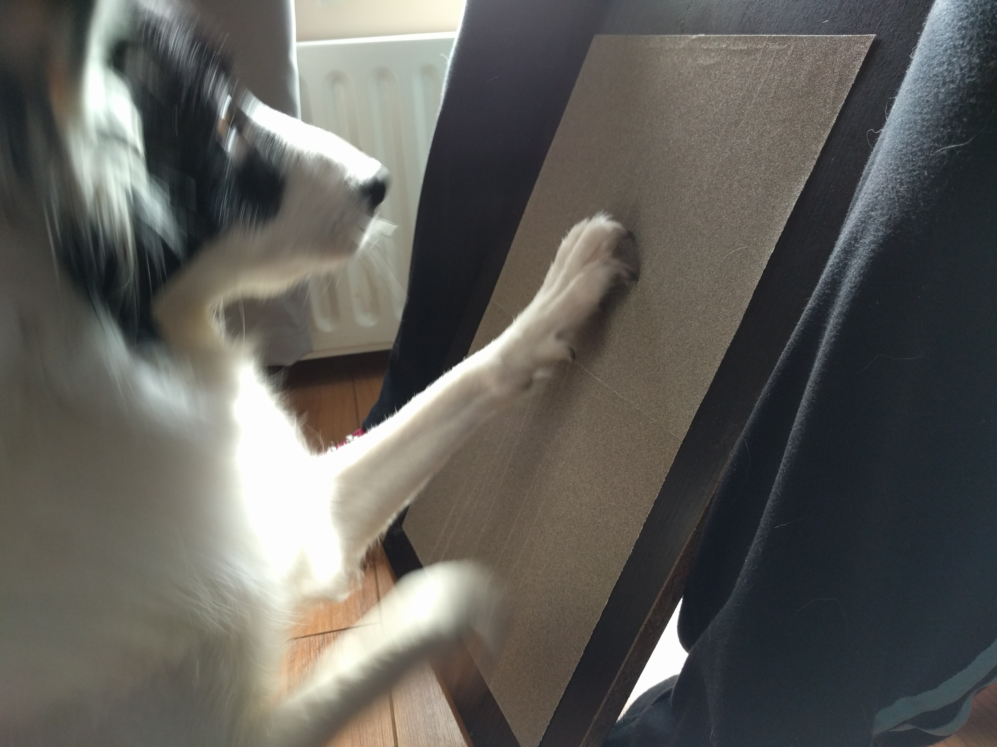 KXK Dog Nail File Board, Dog Nail Scratch Board for Small Medium Dogs,  Sandpaper Dog Scratch