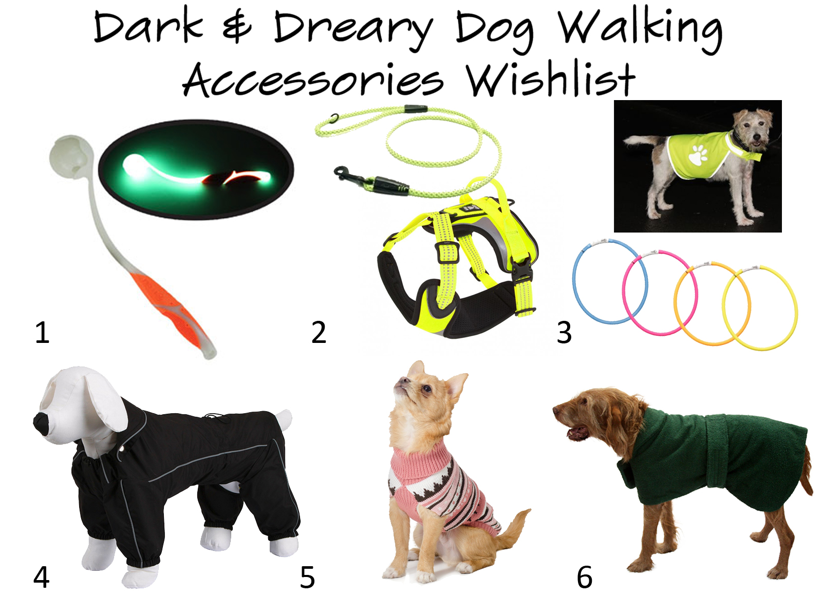 dark \u0026 dreary dog walking accessories 
